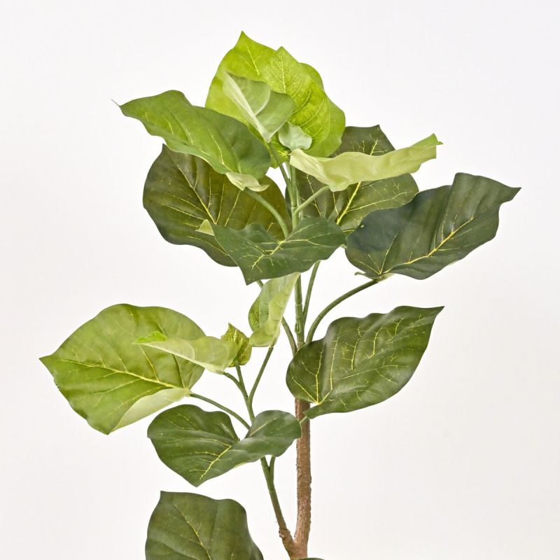 《数量限定》2026福袋[オンライン限定C]