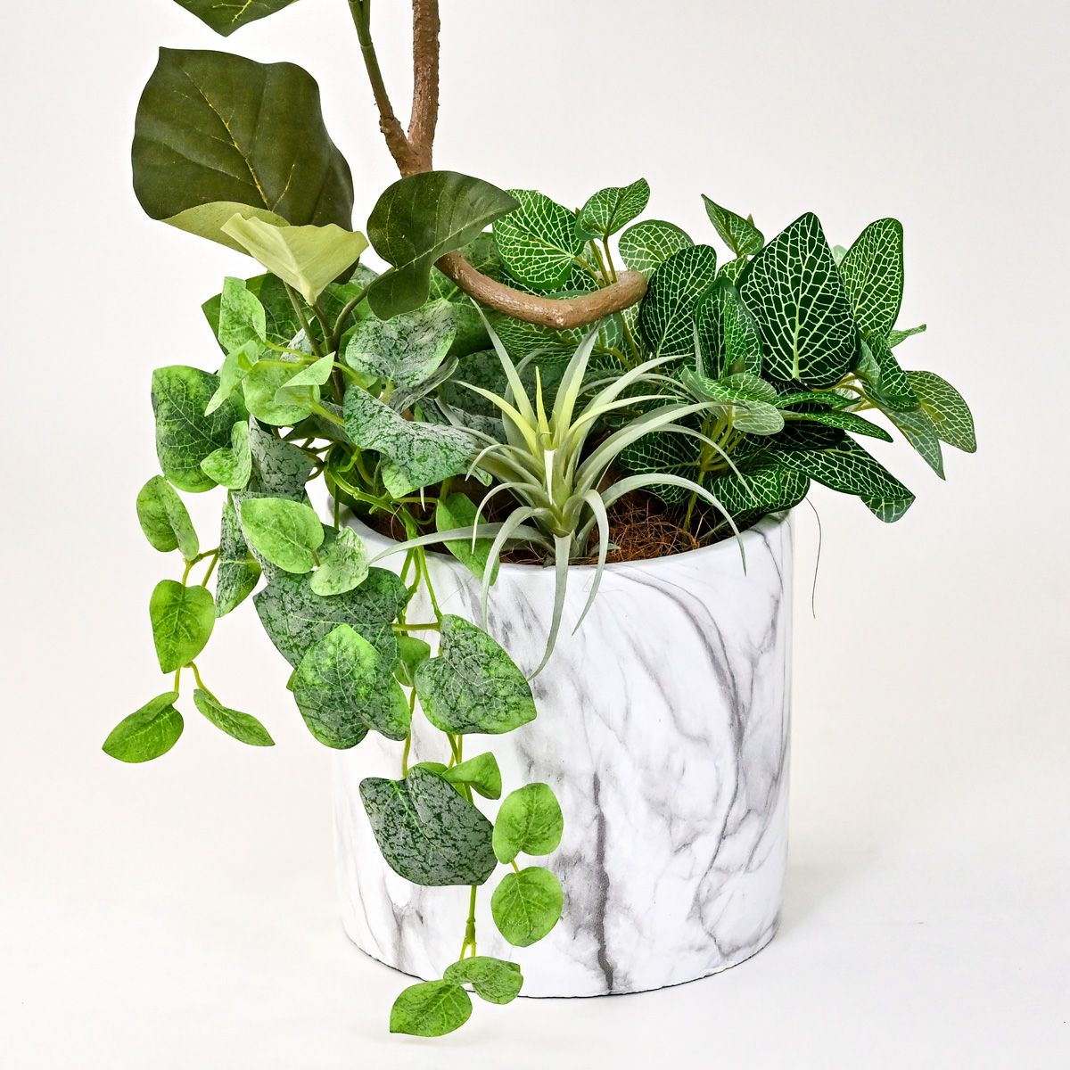 《数量限定》2026福袋[オンライン限定C]