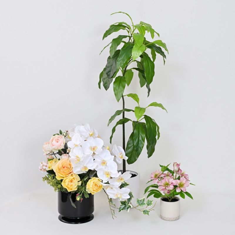 《数量限定》2026福袋[オンライン限定D]