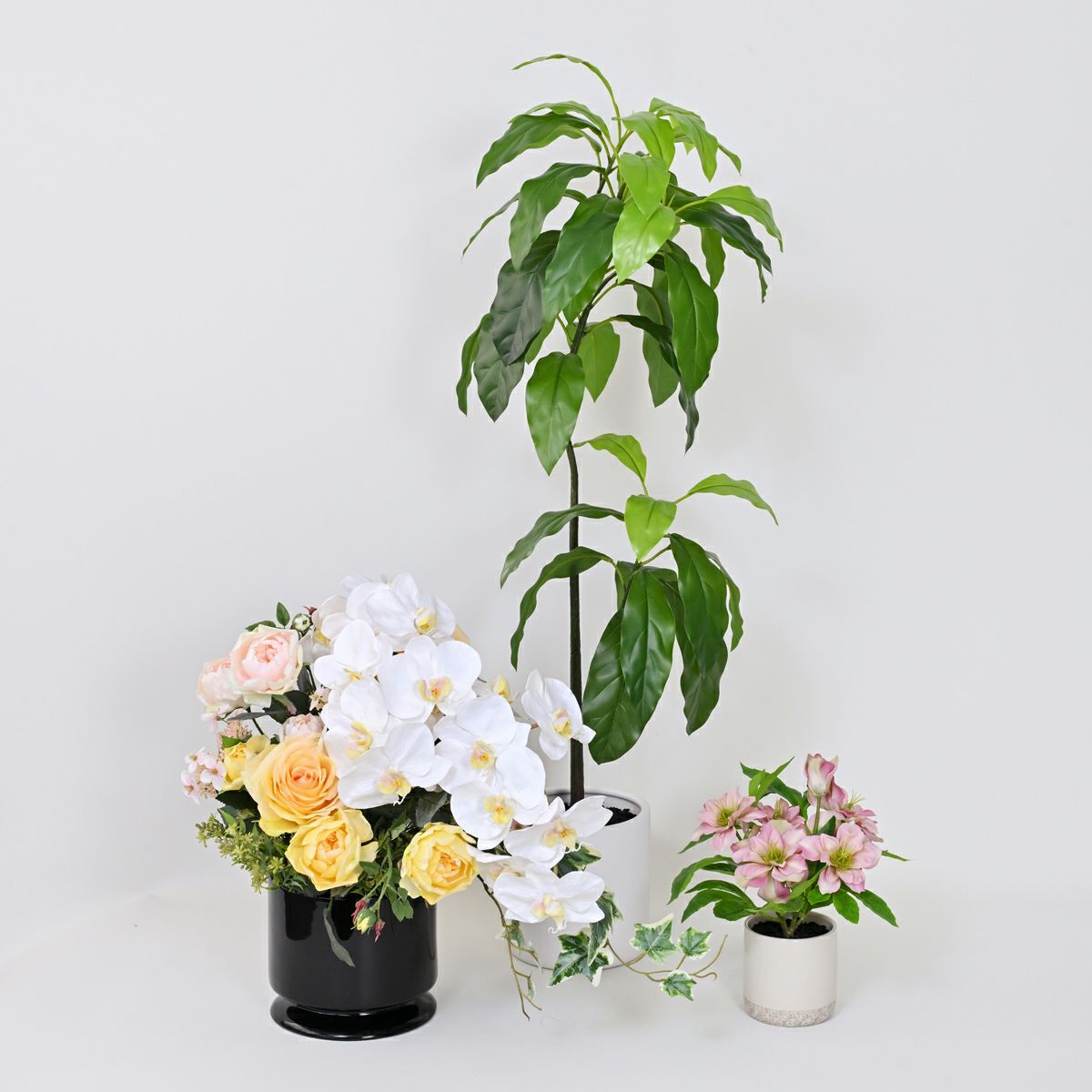 《数量限定》2026福袋[オンライン限定D]