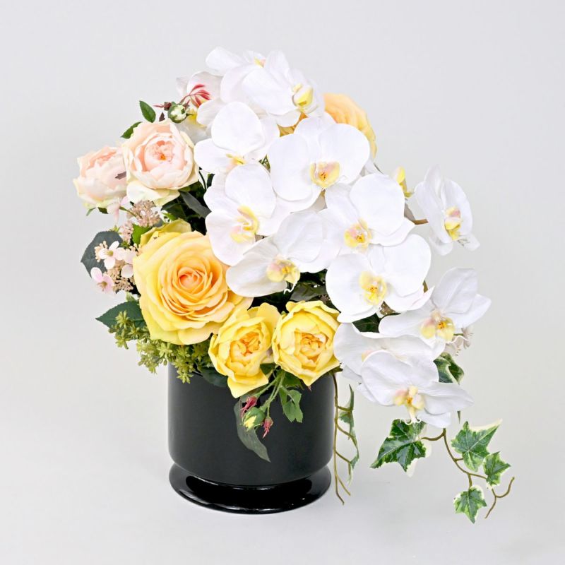 《数量限定》2026福袋[オンライン限定D]