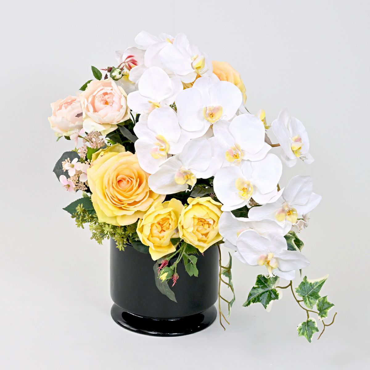 《数量限定》2026福袋[オンライン限定D]