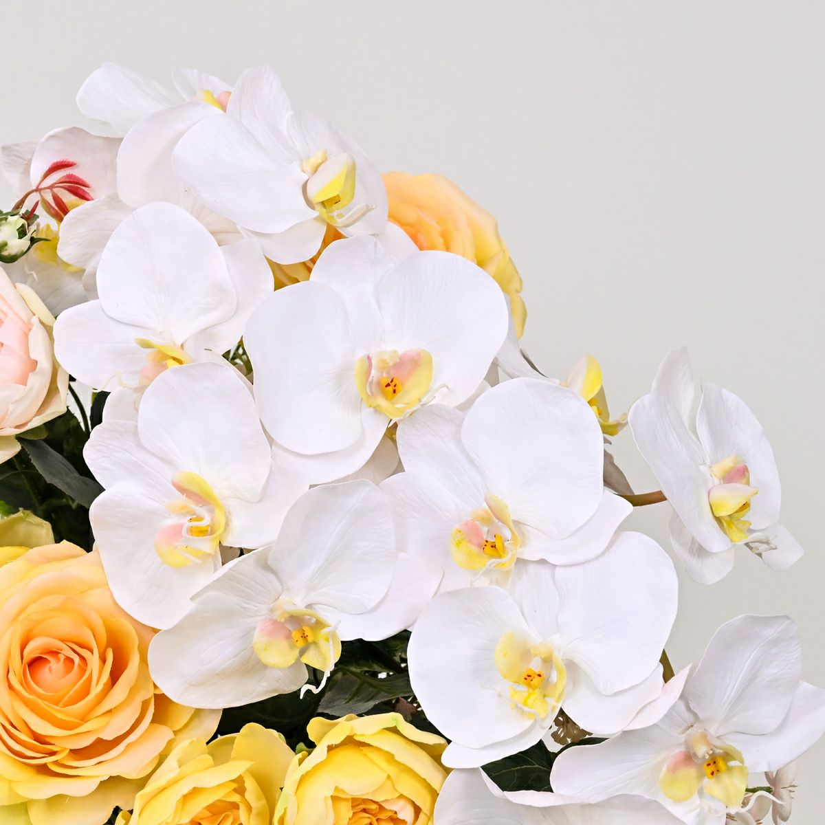 《数量限定》2026福袋[オンライン限定D]