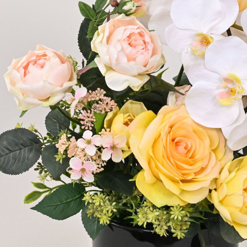 《数量限定》2026福袋[オンライン限定D]