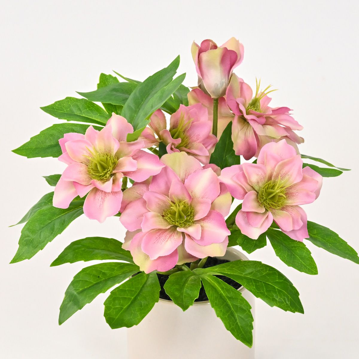 《数量限定》2026福袋[オンライン限定D]