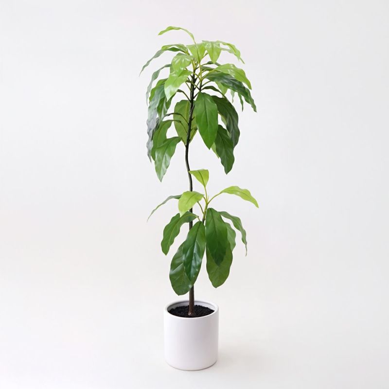 《数量限定》2026福袋[オンライン限定D]