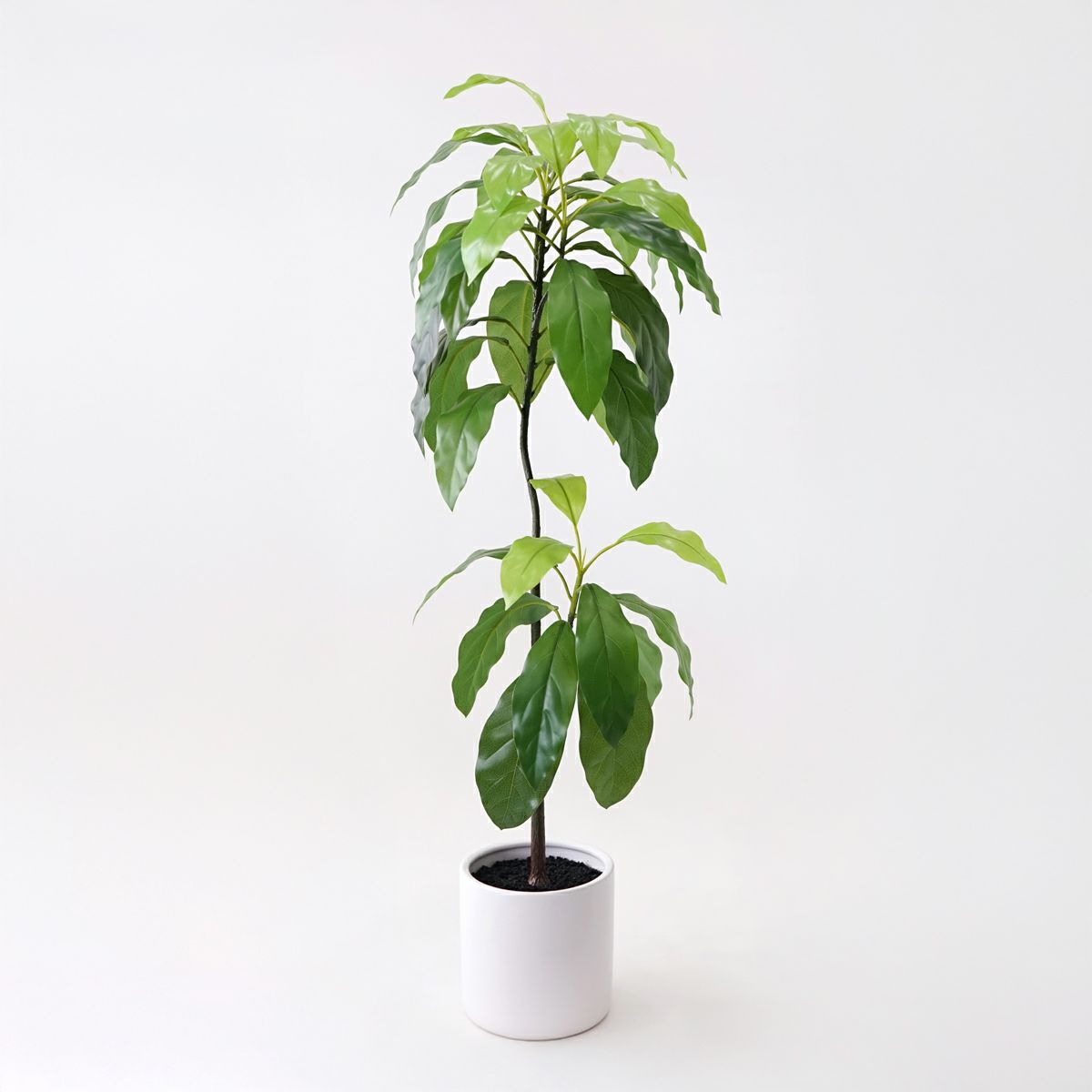 《数量限定》2026福袋[オンライン限定D]