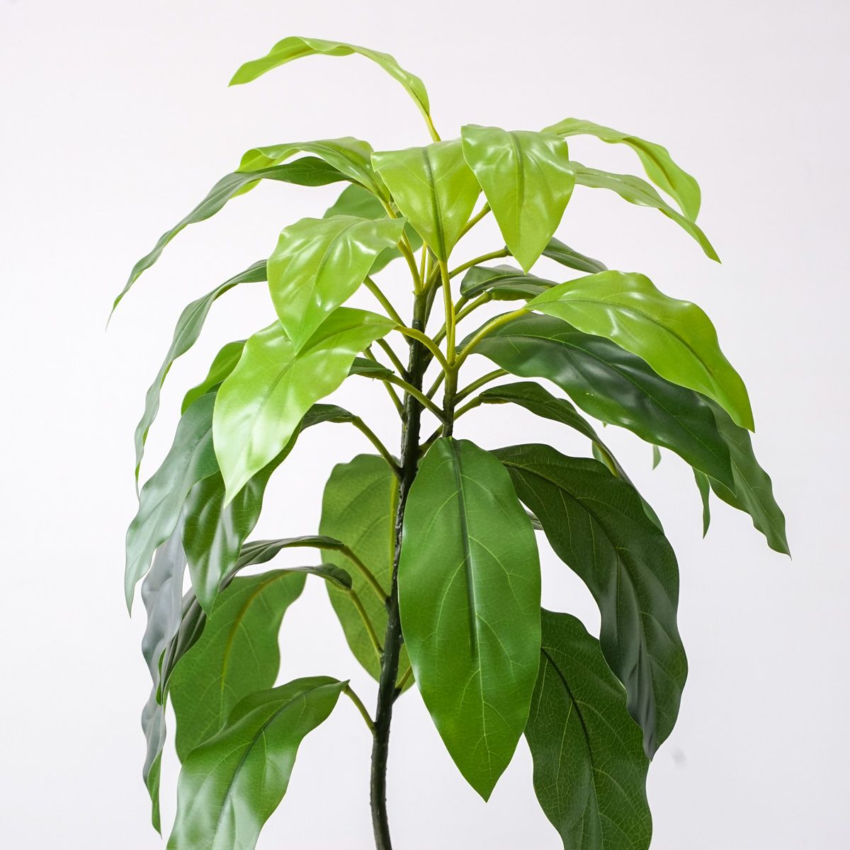 《数量限定》2026福袋[オンライン限定D]