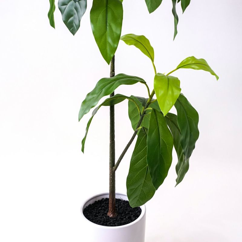 《数量限定》2026福袋[オンライン限定D]