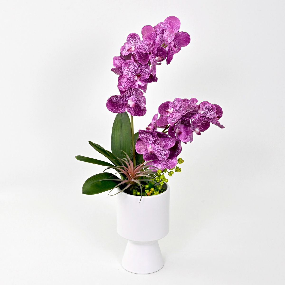 バンダオーキッド アレンジメント [06]