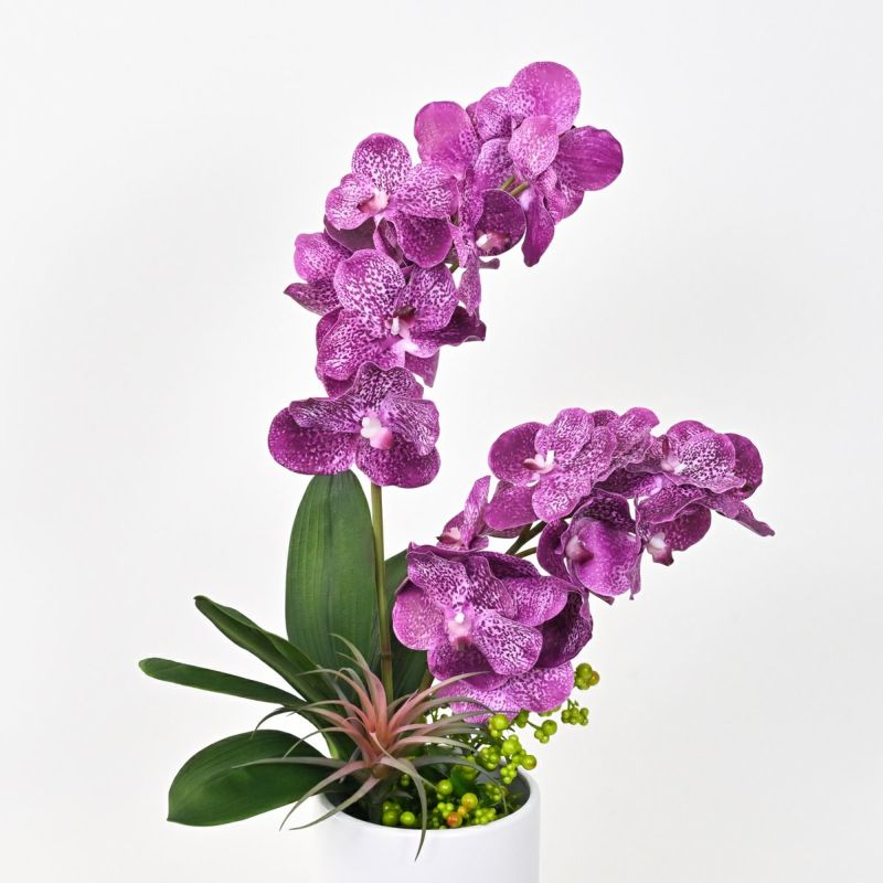 バンダオーキッド アレンジメント [06]