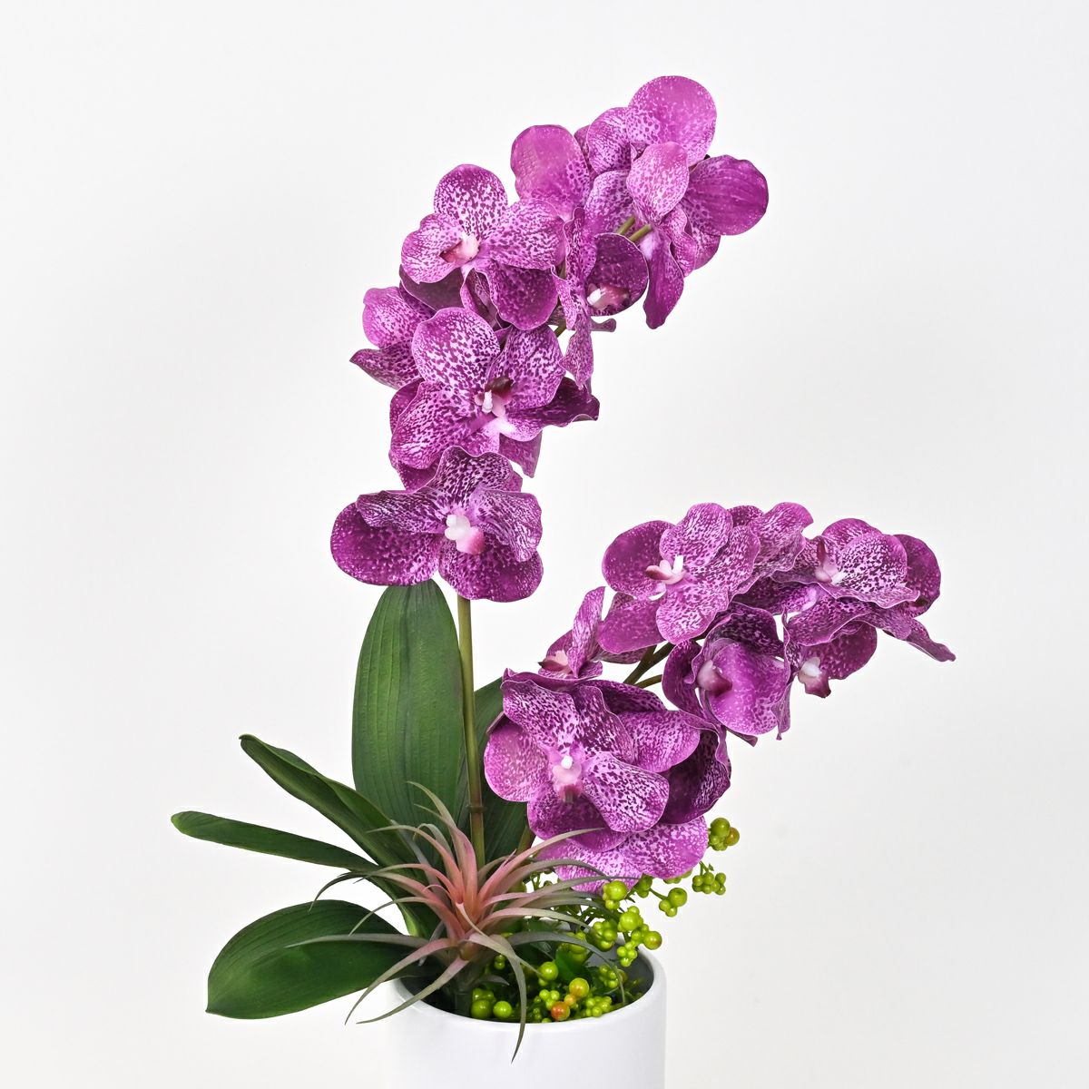 バンダオーキッド アレンジメント [06]