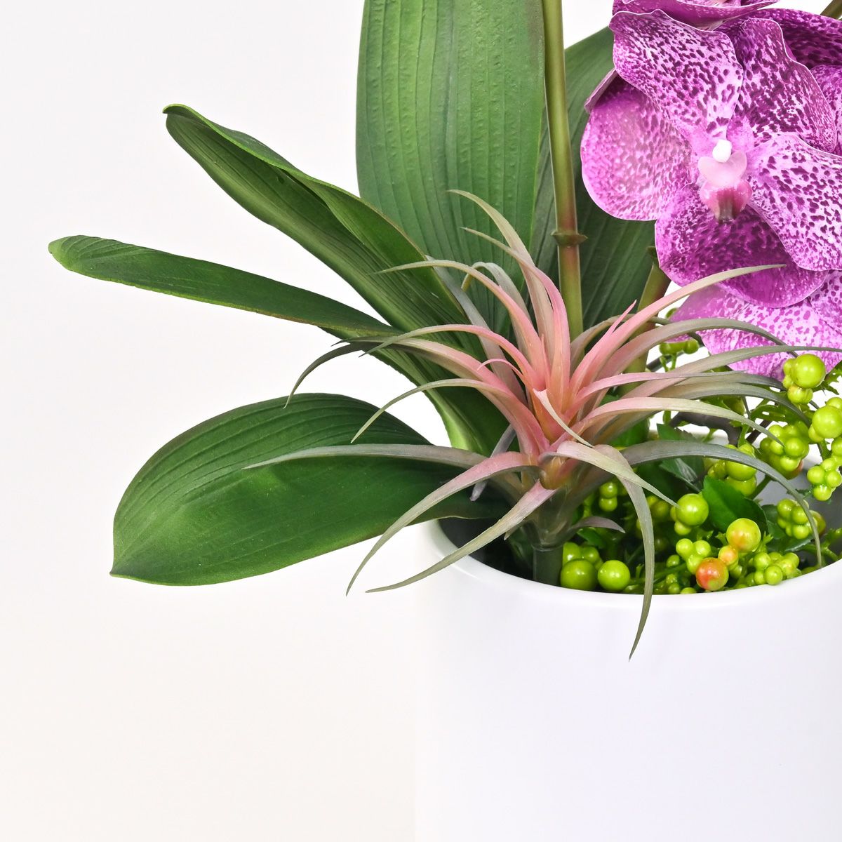 バンダオーキッド アレンジメント [06]