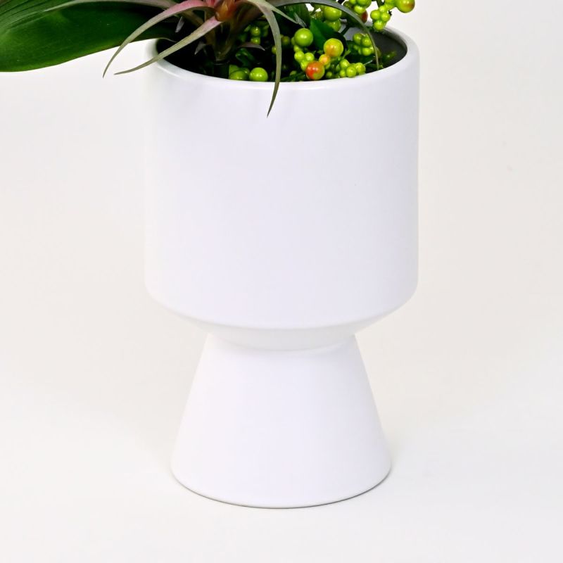 バンダオーキッド アレンジメント [06]