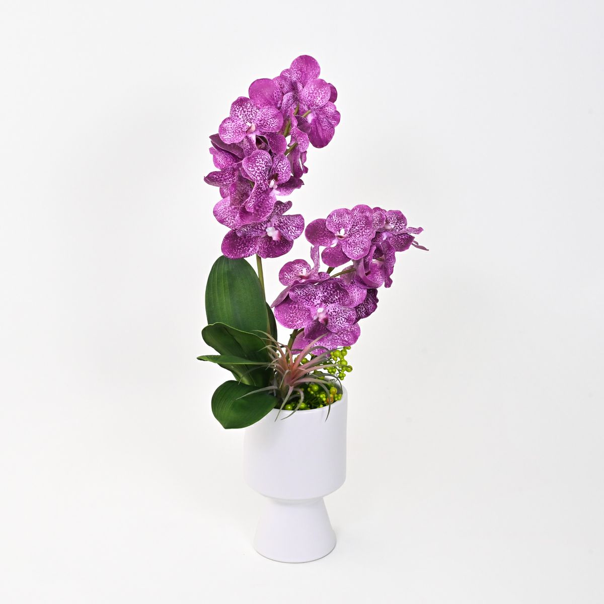 バンダオーキッド アレンジメント [06]