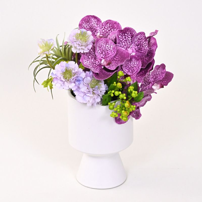 バンダオーキッド アレンジメント [07]