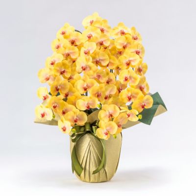 10%OFF】ミエル[105] ボトルフラワー | パレフローラ公式通販