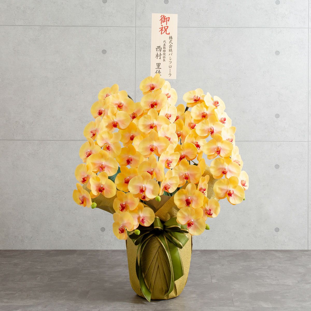 胡蝶蘭 はくらん 5本立 [03]