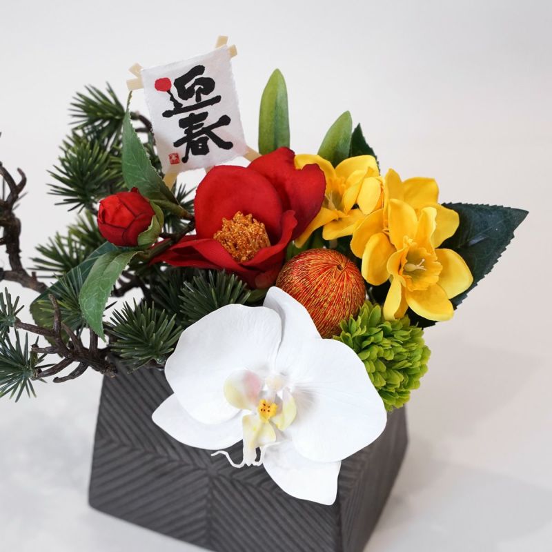 胡蝶蘭 アレンジメント [NY-276A]