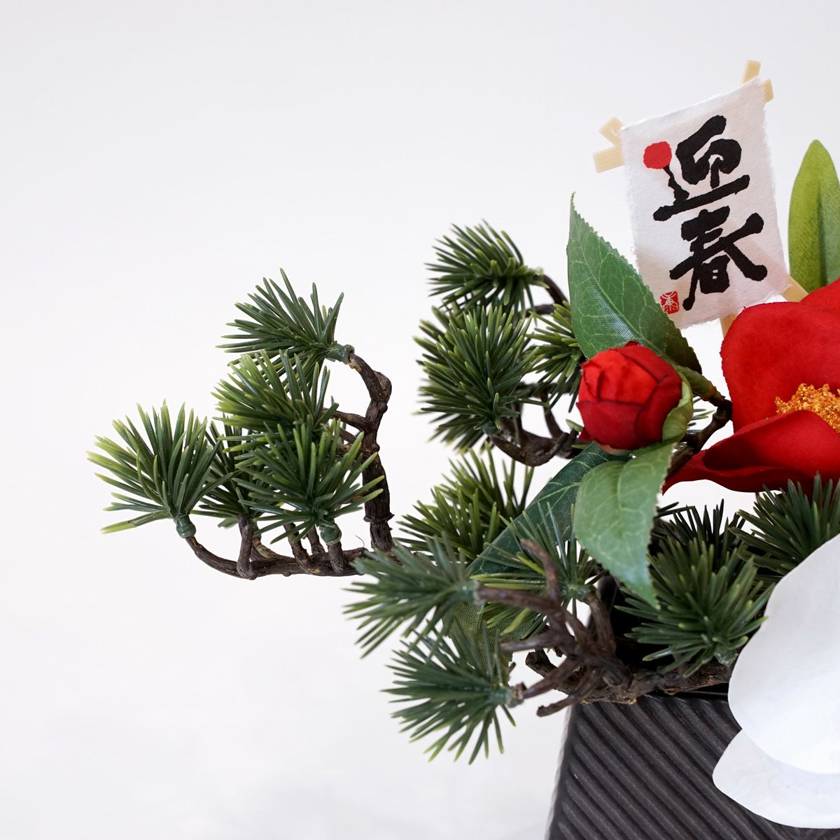 胡蝶蘭 アレンジメント [NY-276A]