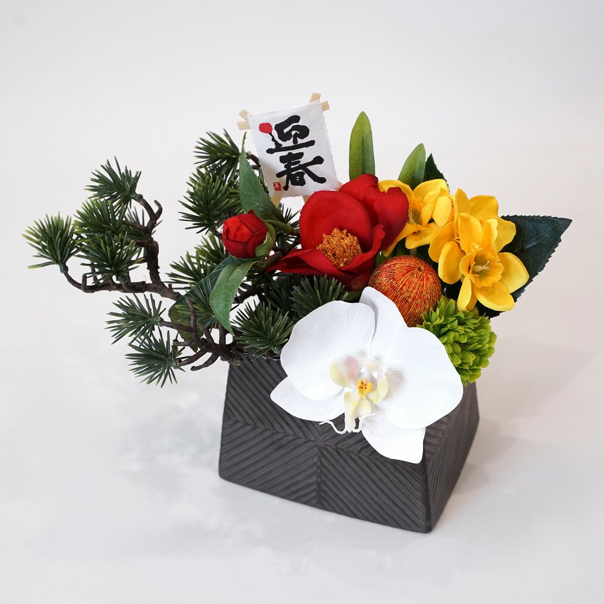 胡蝶蘭 アレンジメント [NY-276A]