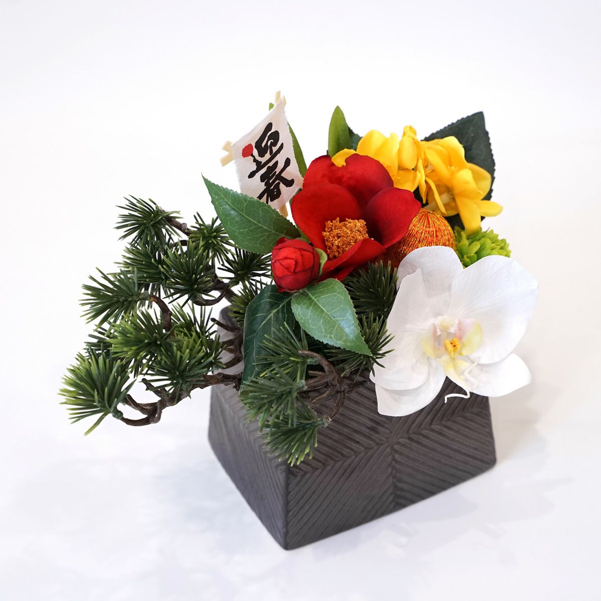 胡蝶蘭 アレンジメント [NY-276A]