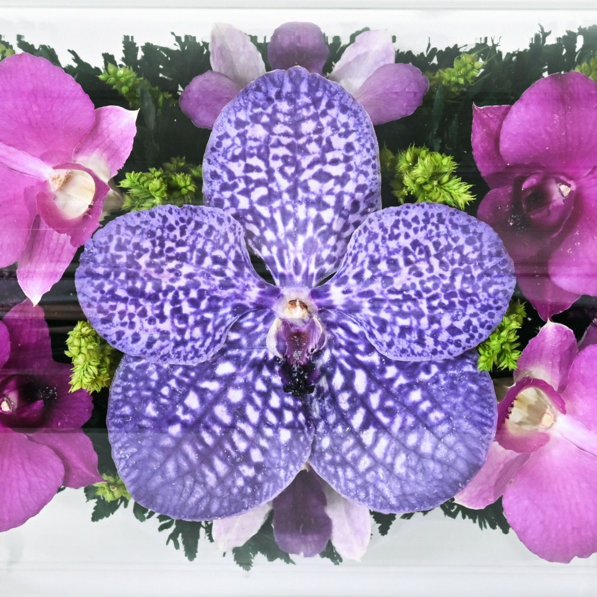 ミエル[105] ボトルフラワー