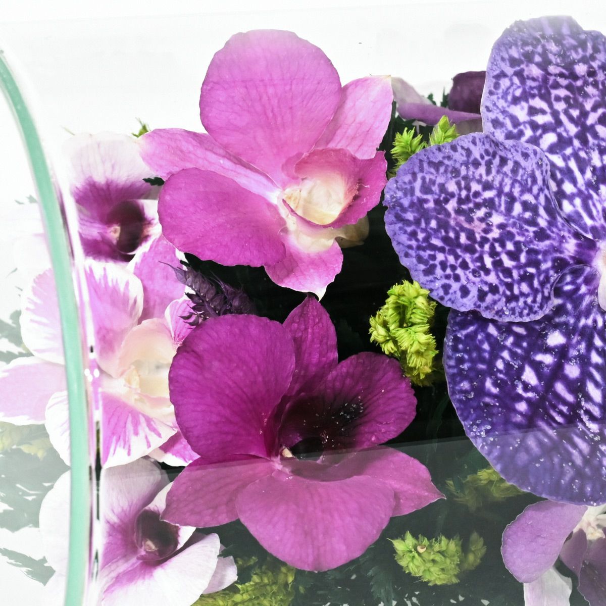 ミエル[105] ボトルフラワー