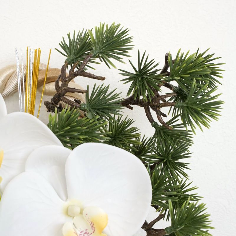 【迎春コレクション2026】 胡蝶蘭 しめ飾り [NY-270A]