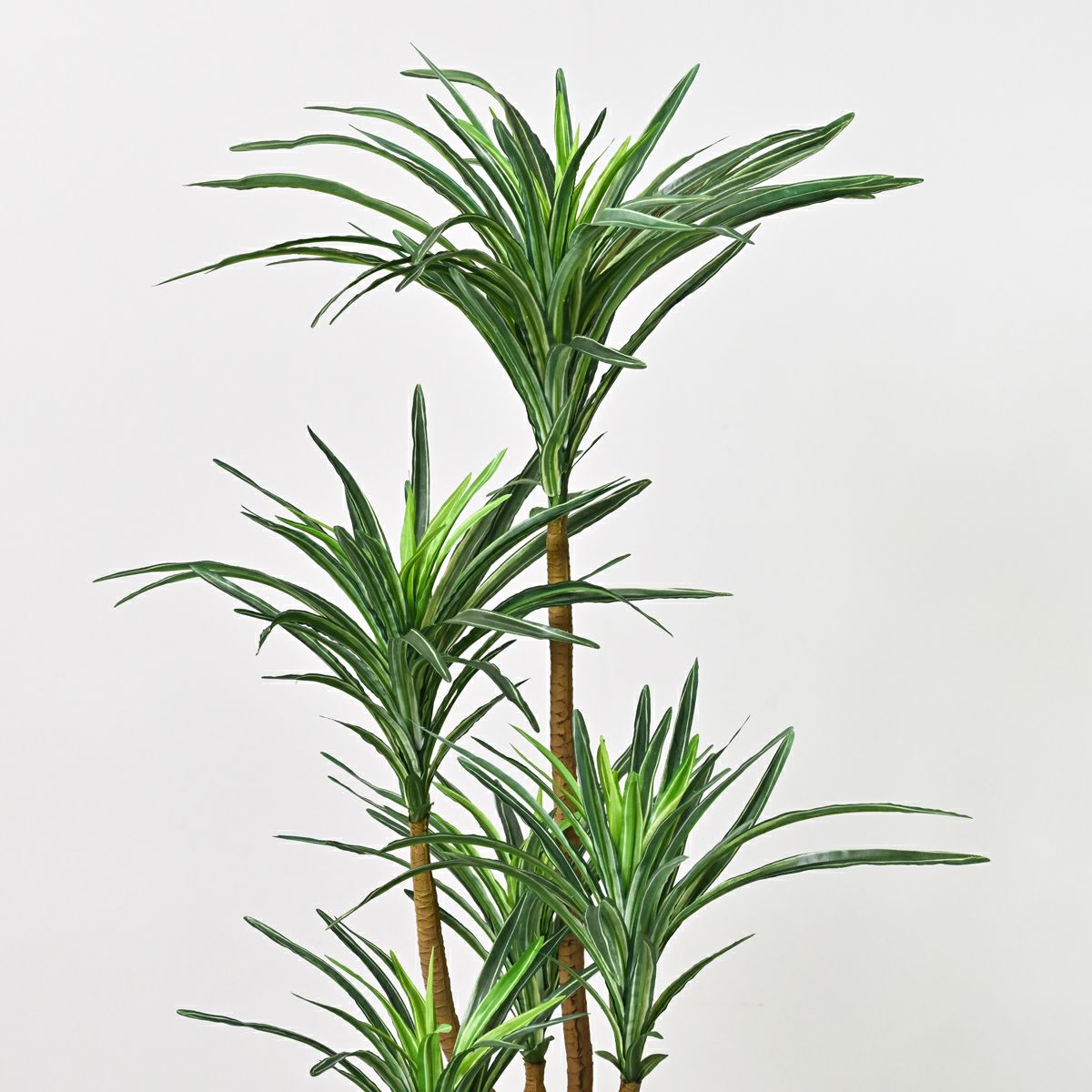 寄せ植え ユッカ フェイクグリーン [107G]