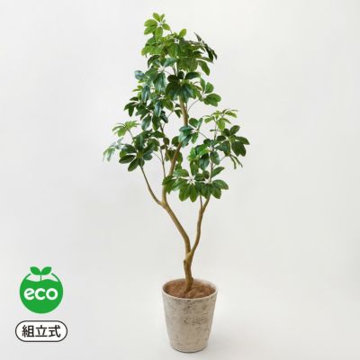 ツイストウンベラータ フェイクグリーン [69] 高さ165cm 観葉植物 開店